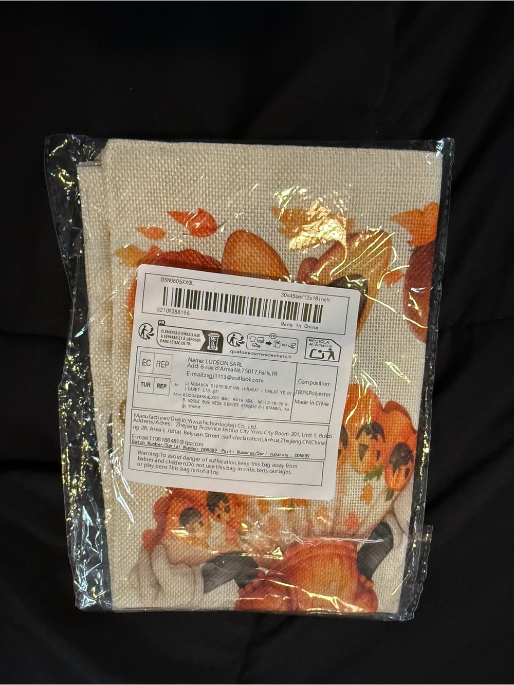 Fall Mickey & Minnie Flag - Picture 8 of 8